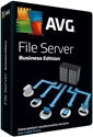 Obrázek AVG File Server Edition, licence pro nového uživatele, počet licencí 10, platnost 2 roky